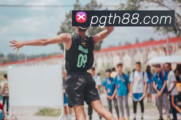 pg平台生态图